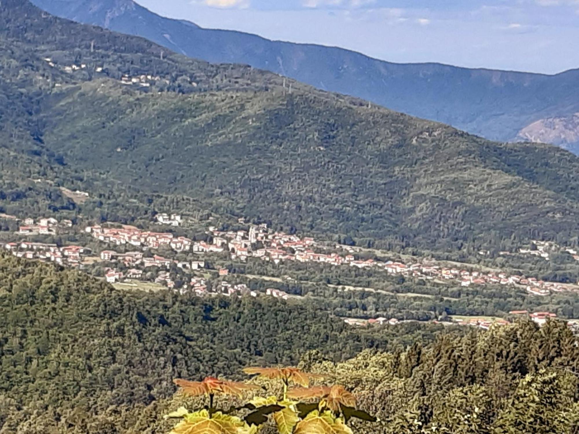 Grazioso Bilocale Merlino, Luminoso Con Vista Santuario, Wifi Giaveno Екстер'єр фото